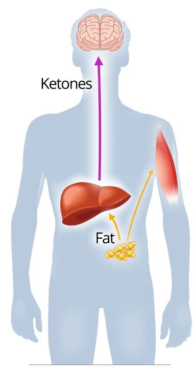 Ketose met NexaSlim